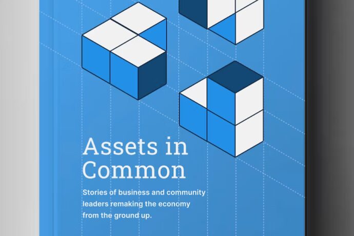 Book cover of the assets in Common Book